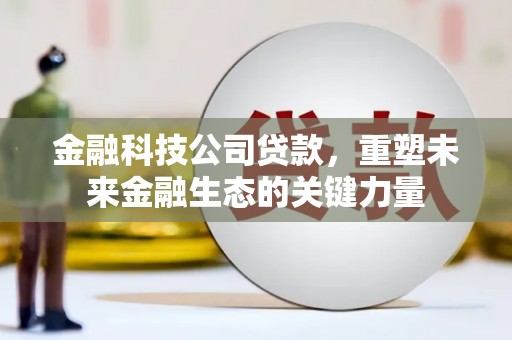武汉金融科技公司贷款，重塑未来金融生态的关键力量