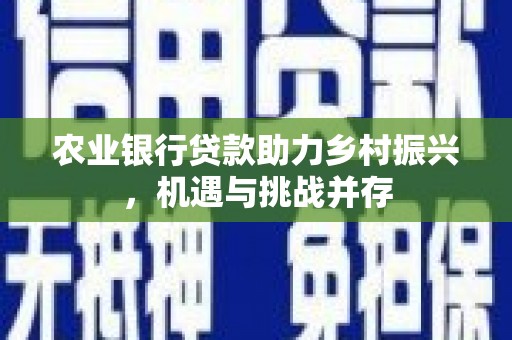 武汉农业银行贷款助力乡村振兴，机遇与挑战并存