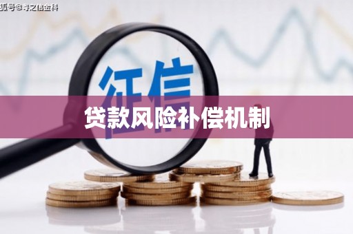 武汉贷款风险补偿机制
