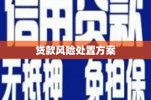 武汉贷款风险处置方案
