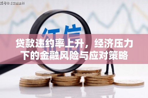 武汉贷款违约率上升，经济压力下的金融风险与应对策略