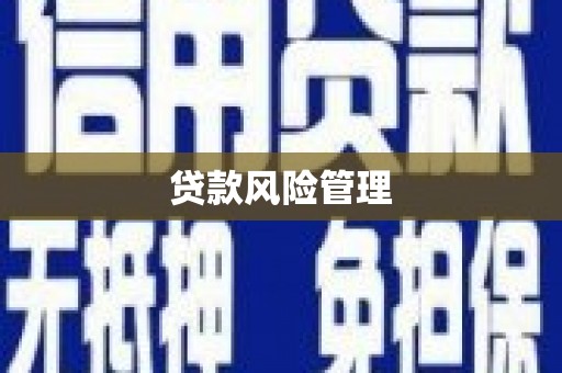 武汉贷款风险管理