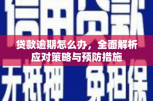 武汉贷款逾期怎么办，全面解析应对策略与预防措施