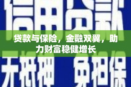 武汉贷款与保险，金融双翼，助力财富稳健增长