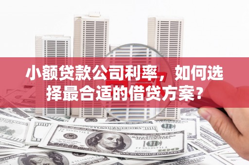 武汉小额贷款公司利率，如何选择最合适的借贷方案？