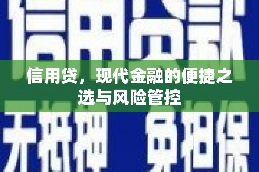 武汉信用贷，现代金融的便捷之选与风险管控