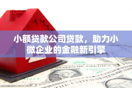武汉小额贷款公司贷款，助力小微企业的金融新引擎