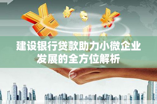 武汉建设银行贷款助力小微企业发展的全方位解析