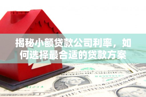 武汉揭秘小额贷款公司利率，如何选择最合适的贷款方案