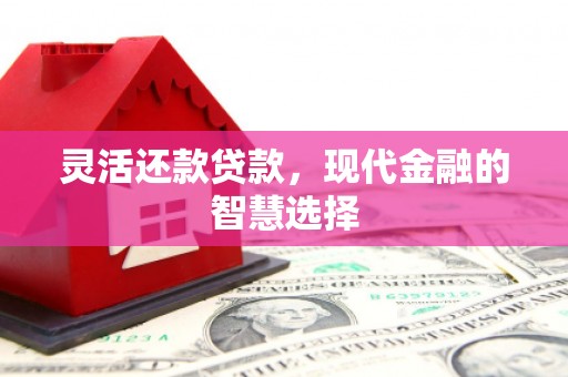 武汉灵活还款贷款，现代金融的智慧选择
