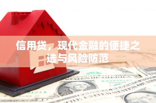 武汉信用贷，现代金融的便捷之选与风险防范