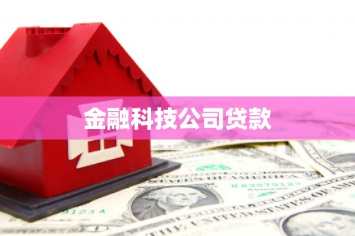 武汉金融科技公司贷款