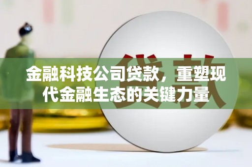 武汉金融科技公司贷款，重塑现代金融生态的关键力量