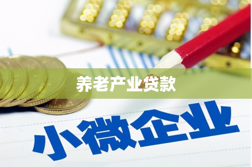武汉养老产业贷款