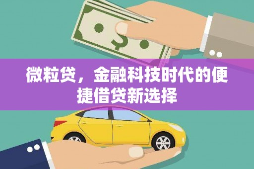 武汉微粒贷，金融科技时代的便捷借贷新选择