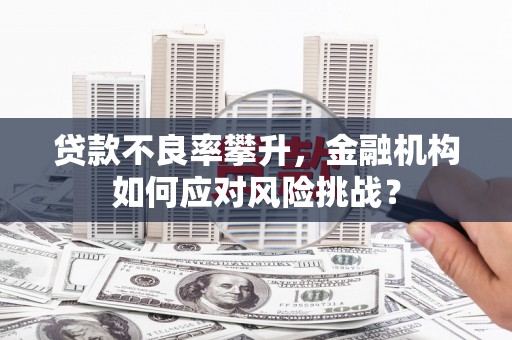 武汉贷款不良率攀升，金融机构如何应对风险挑战？