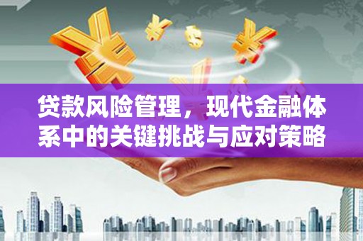 武汉贷款风险管理，现代金融体系中的关键挑战与应对策略