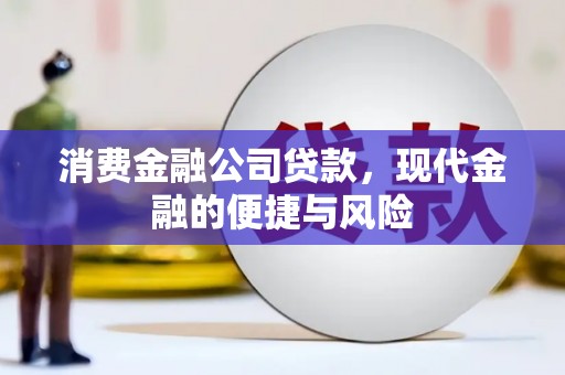 武汉消费金融公司贷款，现代金融的便捷与风险