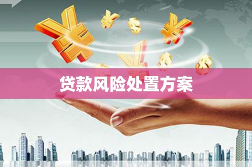 武汉贷款风险处置方案