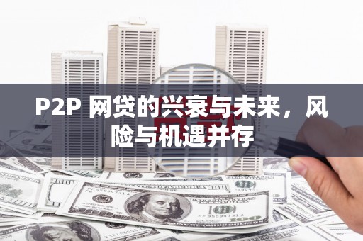武汉P2P 网贷的兴衰与未来，风险与机遇并存