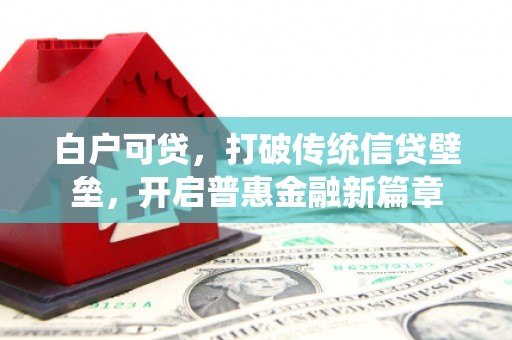 武汉白户可贷，打破传统信贷壁垒，开启普惠金融新篇章