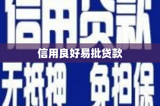 武汉信用良好易批贷款