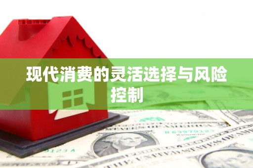 武汉现代消费的灵活选择与风险控制
