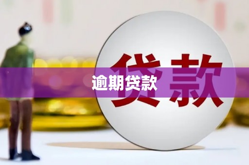 武汉逾期贷款