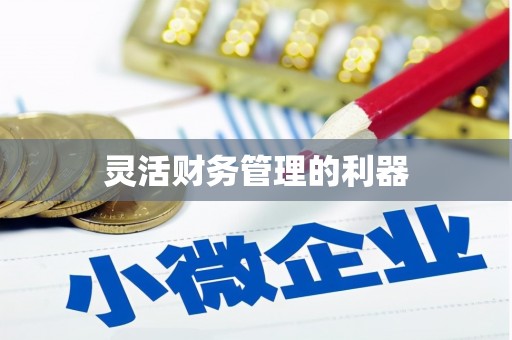 武汉灵活财务管理的利器