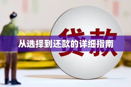武汉从选择到还款的详细指南