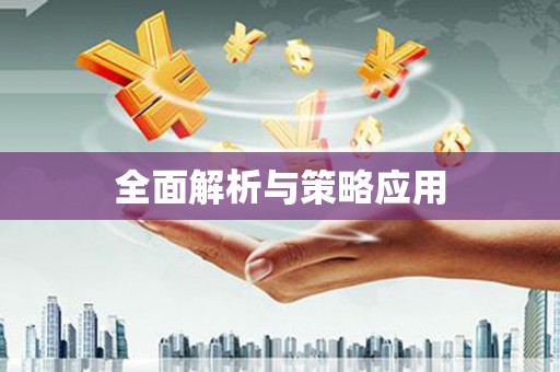 武汉全面解析与策略应用