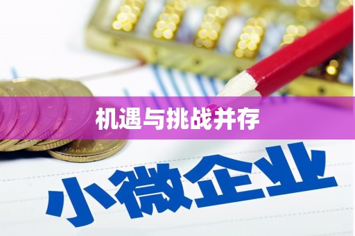 武汉机遇与挑战并存