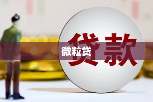 武汉微粒贷