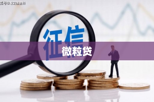 武汉微粒贷