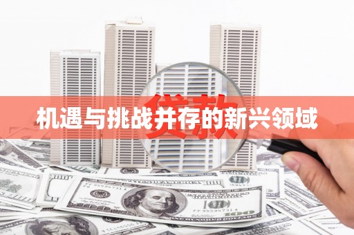 武汉机遇与挑战并存的新兴领域