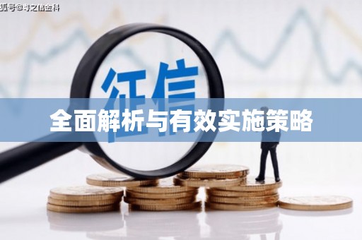 武汉全面解析与有效实施策略