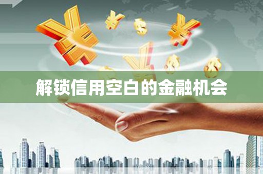 武汉解锁信用空白的金融机会