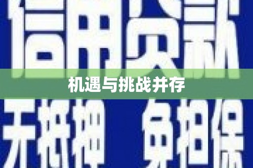 武汉机遇与挑战并存