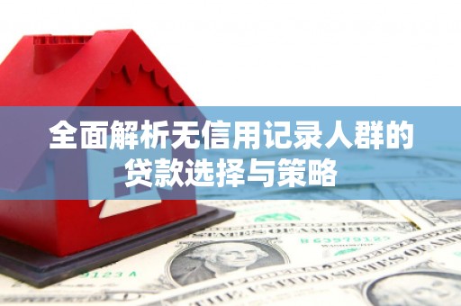 武汉全面解析无信用记录人群的贷款选择与策略