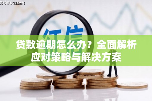 武汉贷款逾期怎么办？全面解析应对策略与解决方案