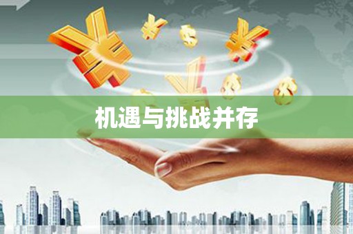 武汉机遇与挑战并存