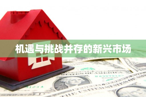 武汉机遇与挑战并存的新兴市场