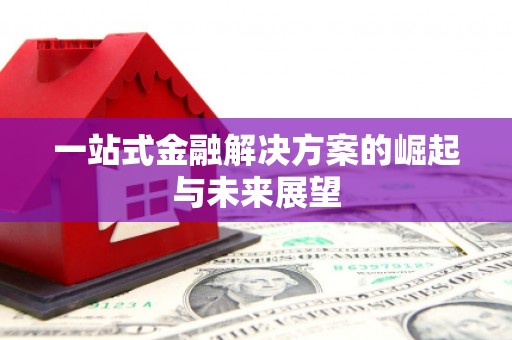 武汉一站式金融解决方案的崛起与未来展望