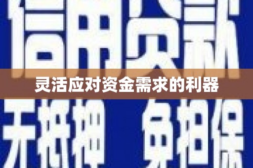 武汉灵活应对资金需求的利器