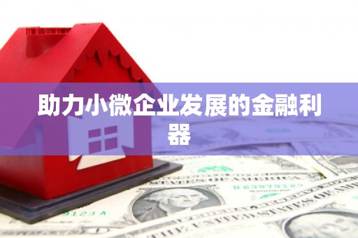 武汉助力小微企业发展的金融利器