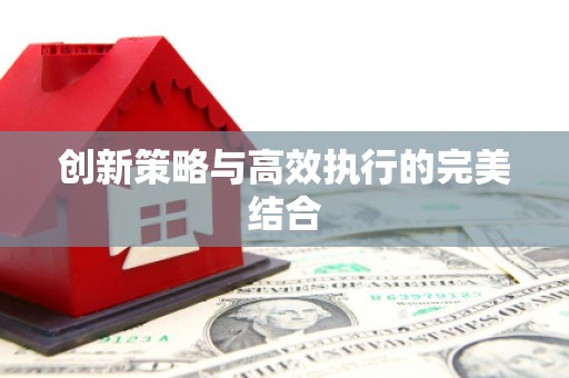 武汉创新策略与高效执行的完美结合