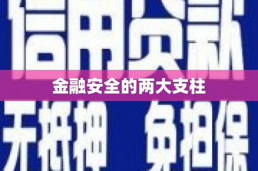 武汉金融安全的两大支柱