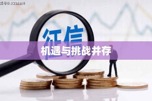 武汉机遇与挑战并存