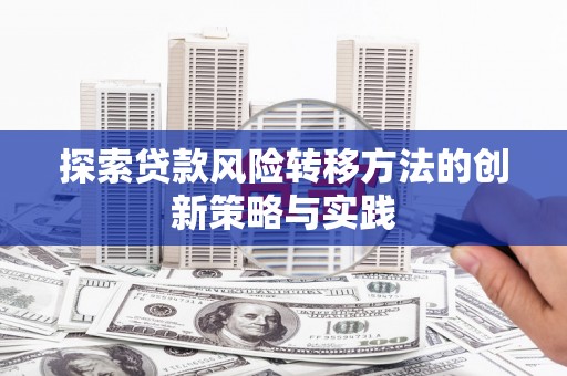 武汉探索贷款风险转移方法的创新策略与实践