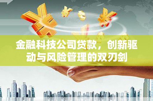 武汉金融科技公司贷款，创新驱动与风险管理的双刃剑